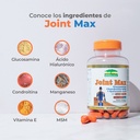 JOINT MAX SOFTGELS 1400MG ENVASE X 100