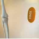 JOINT MAX SOFTGELS 1400MG ENVASE X 100